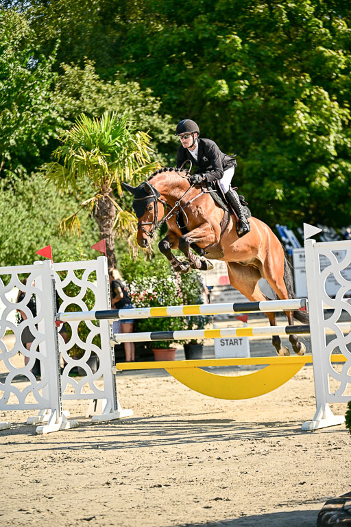 Show Jumping Event Stall Leichle in Schnarup | 15082025 KL M ++ FR _163 