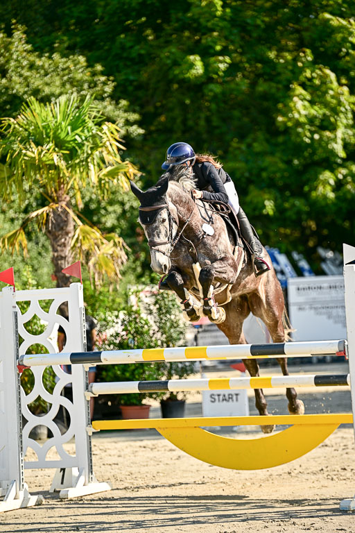 Show Jumping Event Stall Leichle in Schnarup | 15082025 KL M ++ FR _164 