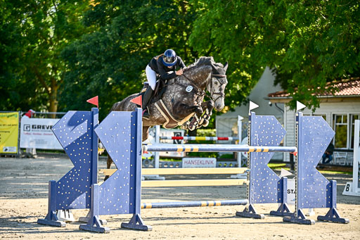 Show Jumping Event Stall Leichle in Schnarup | 15082025 KL M ++ FR _166 