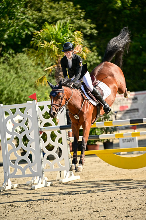 Show Jumping Event Stall Leichle in Schnarup | 15082025 KL M ++ FR _170 