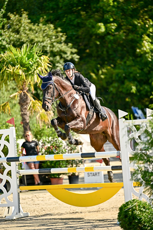 Show Jumping Event Stall Leichle in Schnarup | 15082025 KL M ++ FR _176 