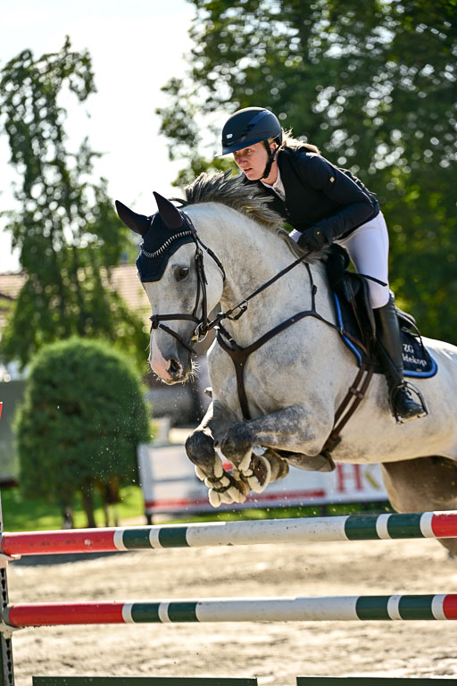 Show Jumping Event Stall Leichle in Schnarup | 15082025 KL M ++ FR _184 