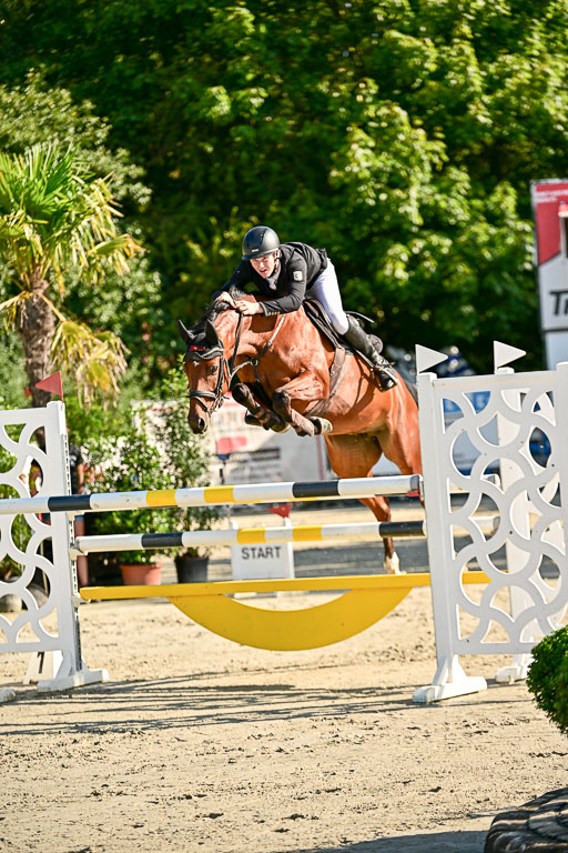 Show Jumping Event Stall Leichle in Schnarup | 15082025 KL M ++ FR _189 