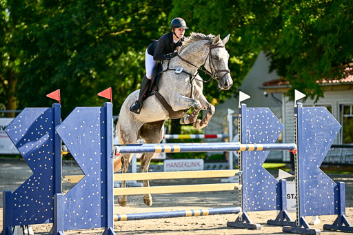 Show Jumping Event Stall Leichle in Schnarup | 15082025 KL M ++ FR _196 