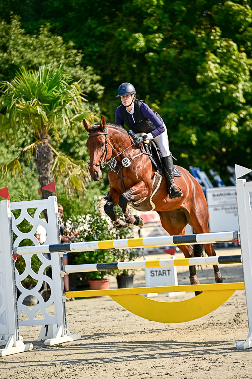 Show Jumping Event Stall Leichle in Schnarup | 15082025 KL M ++ FR _201 