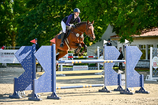 Show Jumping Event Stall Leichle in Schnarup | 15082025 KL M ++ FR _202 