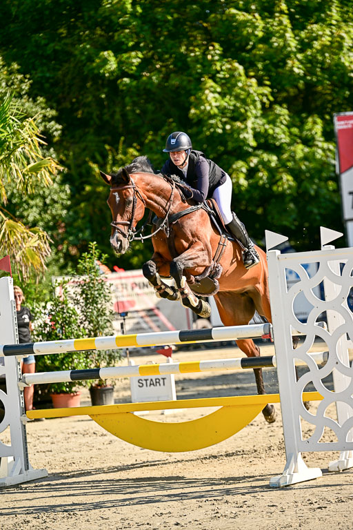 Show Jumping Event Stall Leichle in Schnarup | 15082025 KL M ++ FR _203 