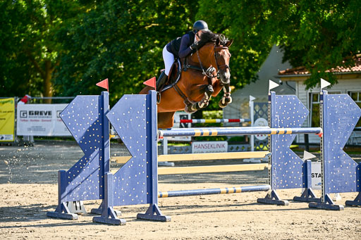 Show Jumping Event Stall Leichle in Schnarup | 15082025 KL M ++ FR _208 