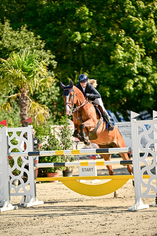 Show Jumping Event Stall Leichle in Schnarup | 15082025 KL M ++ FR _210 