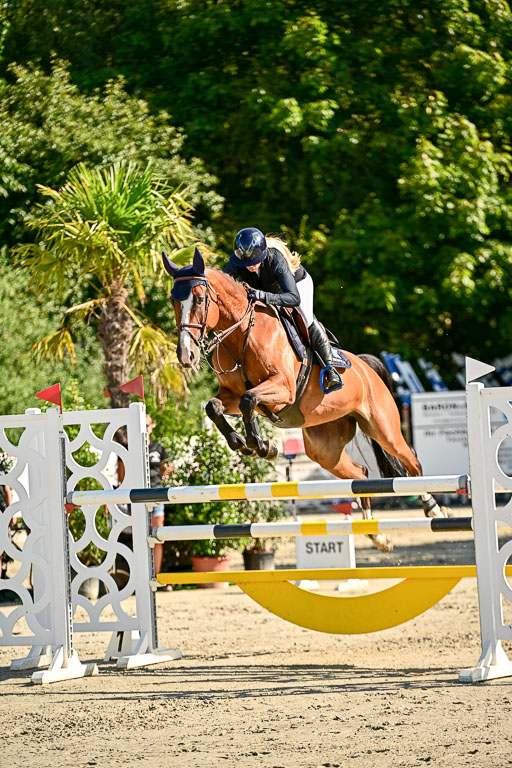 Show Jumping Event Stall Leichle in Schnarup | 15082025 KL M ++ FR _211 