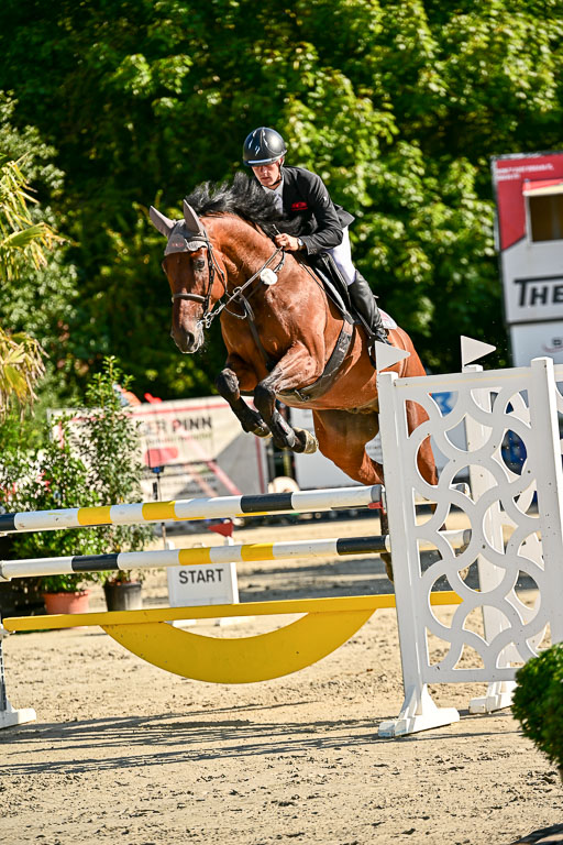 Show Jumping Event Stall Leichle in Schnarup | 15082025 KL M ++ FR _220 