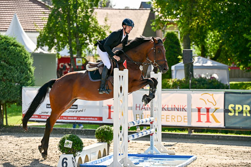 Show Jumping Event Stall Leichle in Schnarup | 15082025 KL M ++ FR _230 