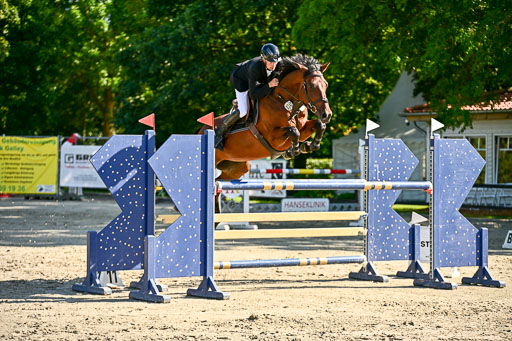 Show Jumping Event Stall Leichle in Schnarup | 15082025 KL M ++ FR _234 