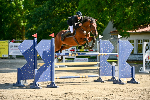 Show Jumping Event Stall Leichle in Schnarup | 15082025 KL M ++ FR _235 