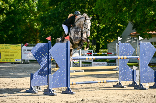 Show Jumping Event Stall Leichle in Schnarup | 15082025 KL M ++ FR _251 