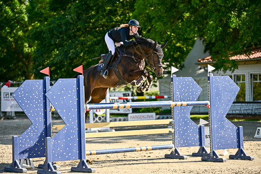 Show Jumping Event Stall Leichle in Schnarup | 15082025 KL M ++ FR _264 
