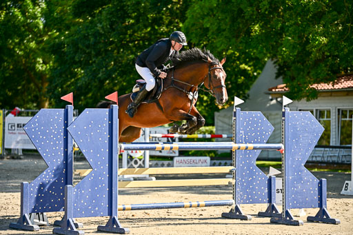 Show Jumping Event Stall Leichle in Schnarup | 15082025 KL M ++ FR _265 
