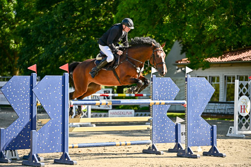 Show Jumping Event Stall Leichle in Schnarup | 15082025 KL M ++ FR _266 