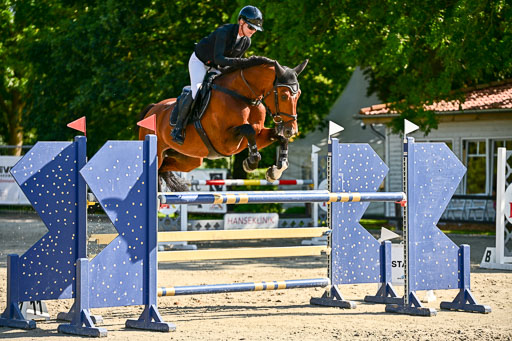 Show Jumping Event Stall Leichle in Schnarup | 15082025 KL M ++ FR _287 