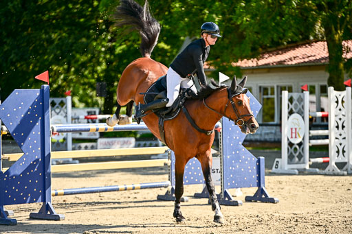 Show Jumping Event Stall Leichle in Schnarup | 15082025 KL M ++ FR _288 