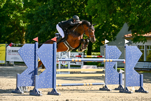 Show Jumping Event Stall Leichle in Schnarup | 15082025 KL M ++ FR _299 