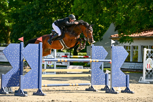 Show Jumping Event Stall Leichle in Schnarup | 15082025 KL M ++ FR _300 