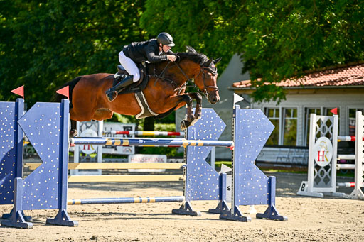 Show Jumping Event Stall Leichle in Schnarup | 15082025 KL M ++ FR _301 