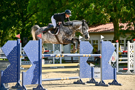 Show Jumping Event Stall Leichle in Schnarup | 15082025 KL M ++ FR _305 