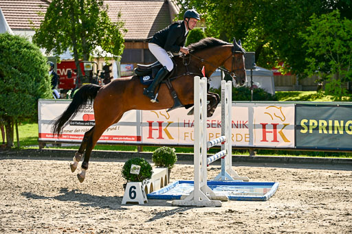 Show Jumping Event Stall Leichle in Schnarup | 15082025 KL M ++ FR _308 