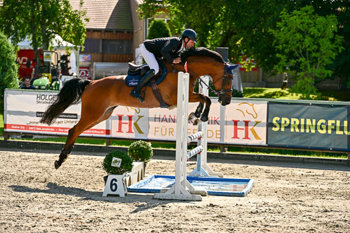 Show Jumping Event Stall Leichle in Schnarup | 15082025 KL M ++ FR _313 