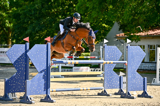 Show Jumping Event Stall Leichle in Schnarup | 15082025 KL M ++ FR _314 