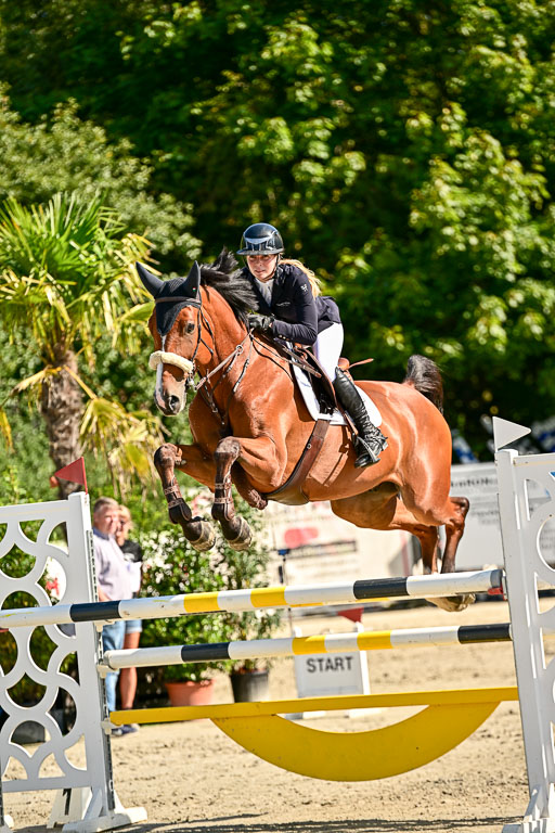 Show Jumping Event Stall Leichle in Schnarup | 15082025 KL M ++ FR _316 