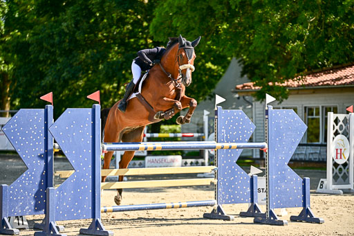 Show Jumping Event Stall Leichle in Schnarup | 15082025 KL M ++ FR _322 