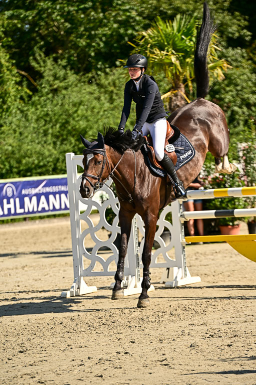 Show Jumping Event Stall Leichle in Schnarup | 15082025 KL M ++ FR _324 