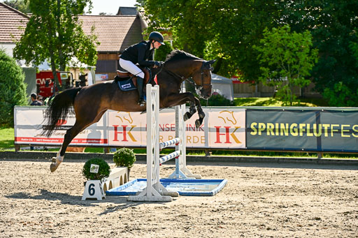 Show Jumping Event Stall Leichle in Schnarup | 15082025 KL M ++ FR _326 