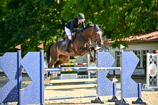 Show Jumping Event Stall Leichle in Schnarup | 15082025 KL M ++ FR _328 