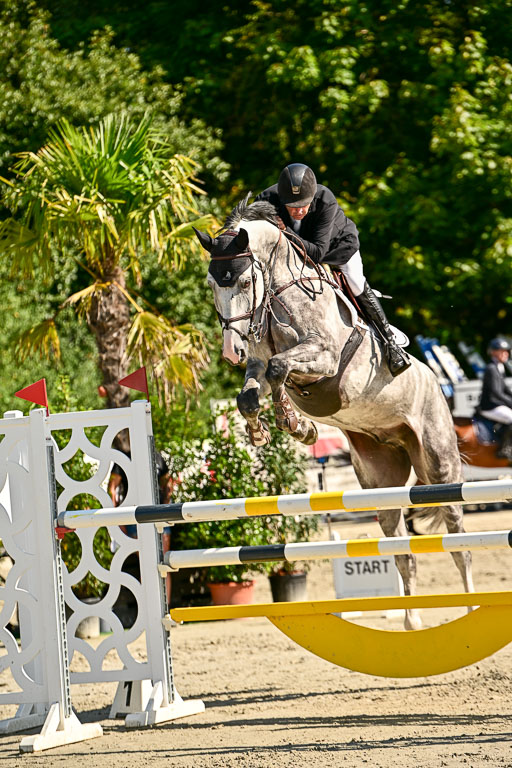 Show Jumping Event Stall Leichle in Schnarup | 15082025 KL M ++ FR _329 