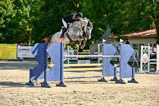 Show Jumping Event Stall Leichle in Schnarup | 15082025 KL M ++ FR _335 