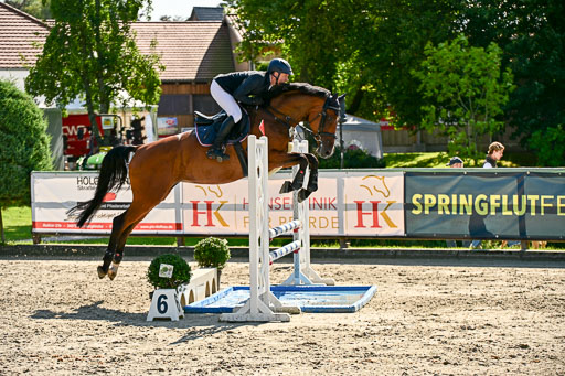 Show Jumping Event Stall Leichle in Schnarup | 15082025 KL M ++ FR _340 