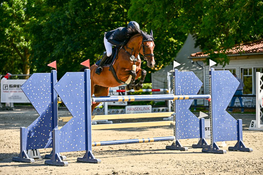Show Jumping Event Stall Leichle in Schnarup | 15082025 KL M ++ FR _341 