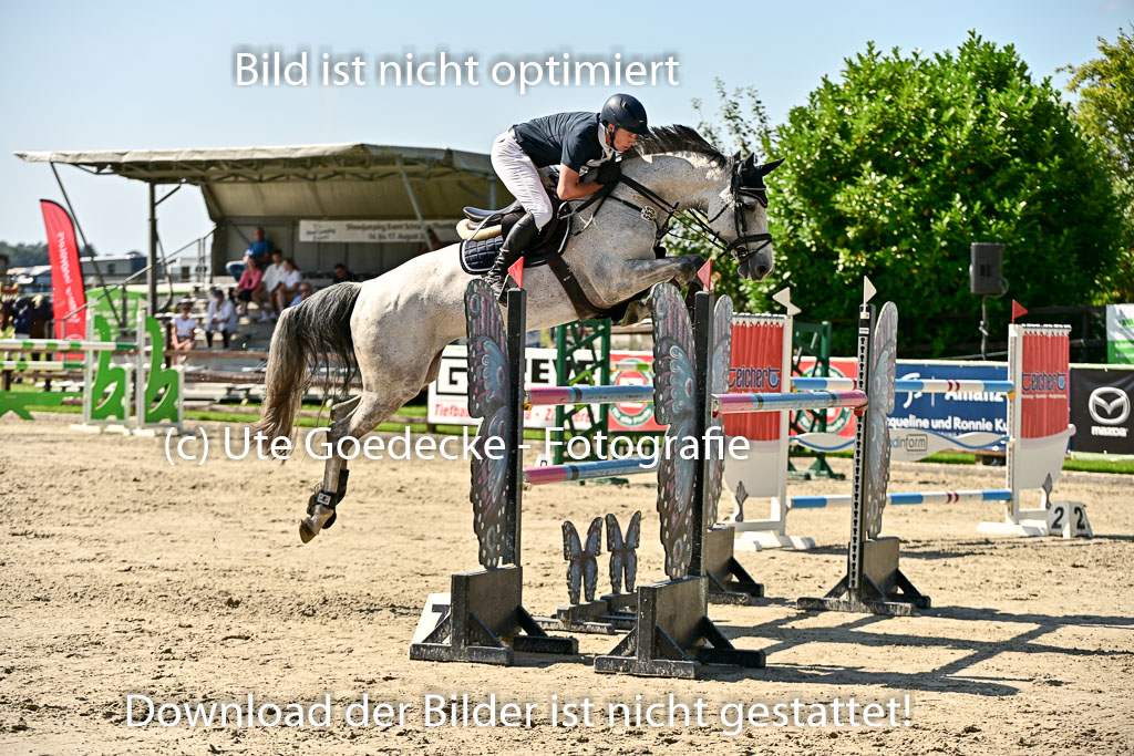 Show Jumping Event Stall Leichle in Schnarup | 15082025 Prf 7 M++  FR_038 