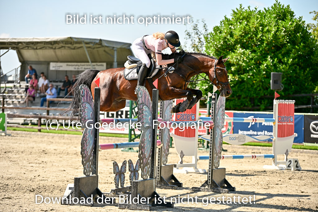 Show Jumping Event Stall Leichle in Schnarup | 15082025 Prf 7 M++  FR_058 