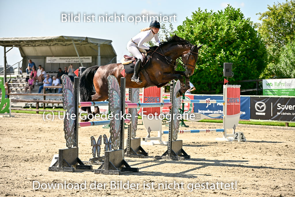 Show Jumping Event Stall Leichle in Schnarup | 15082025 Prf 7 M++  FR_065 