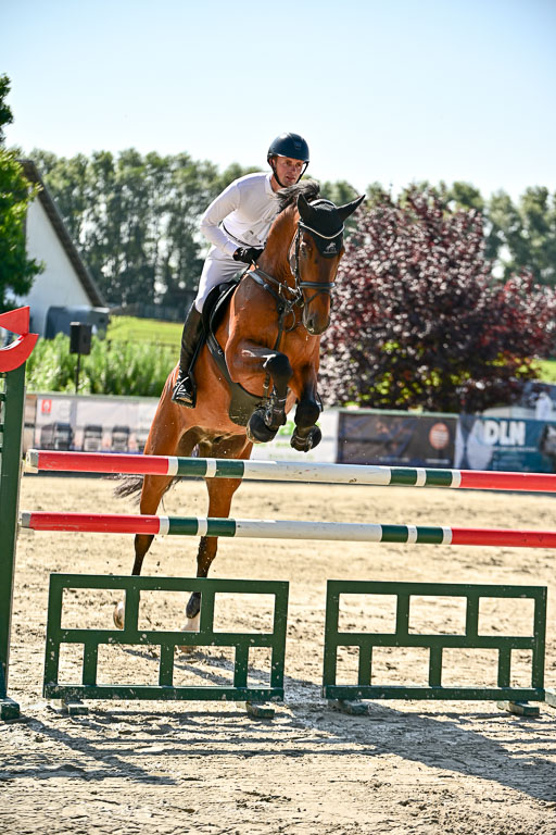 Show Jumping Event Stall Leichle in Schnarup | 15082025 Prf 7 M++  FR_008 