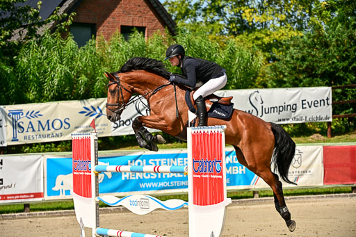 Show Jumping Event Stall Leichle in Schnarup | 15082025 Prf 7 M++  FR_016 