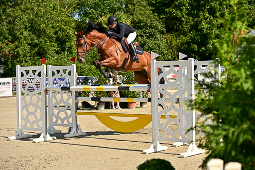 Show Jumping Event Stall Leichle in Schnarup | 15082025 Prf 7 M++  FR_018 