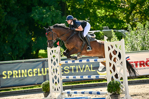 Show Jumping Event Stall Leichle in Schnarup | 15082025 Prf 7 M++  FR_025 