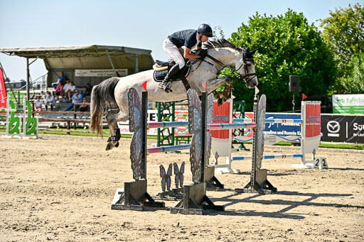Show Jumping Event Stall Leichle in Schnarup | 15082025 Prf 7 M++  FR_039 
