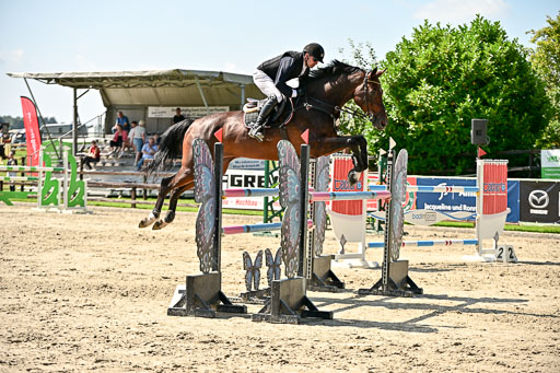 Show Jumping Event Stall Leichle in Schnarup | 15082025 Prf 7 M++  FR_092 