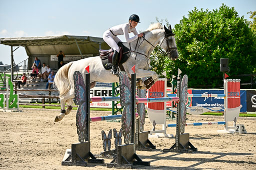 Show Jumping Event Stall Leichle in Schnarup | 15082025 Prf 7 M++  FR_099 